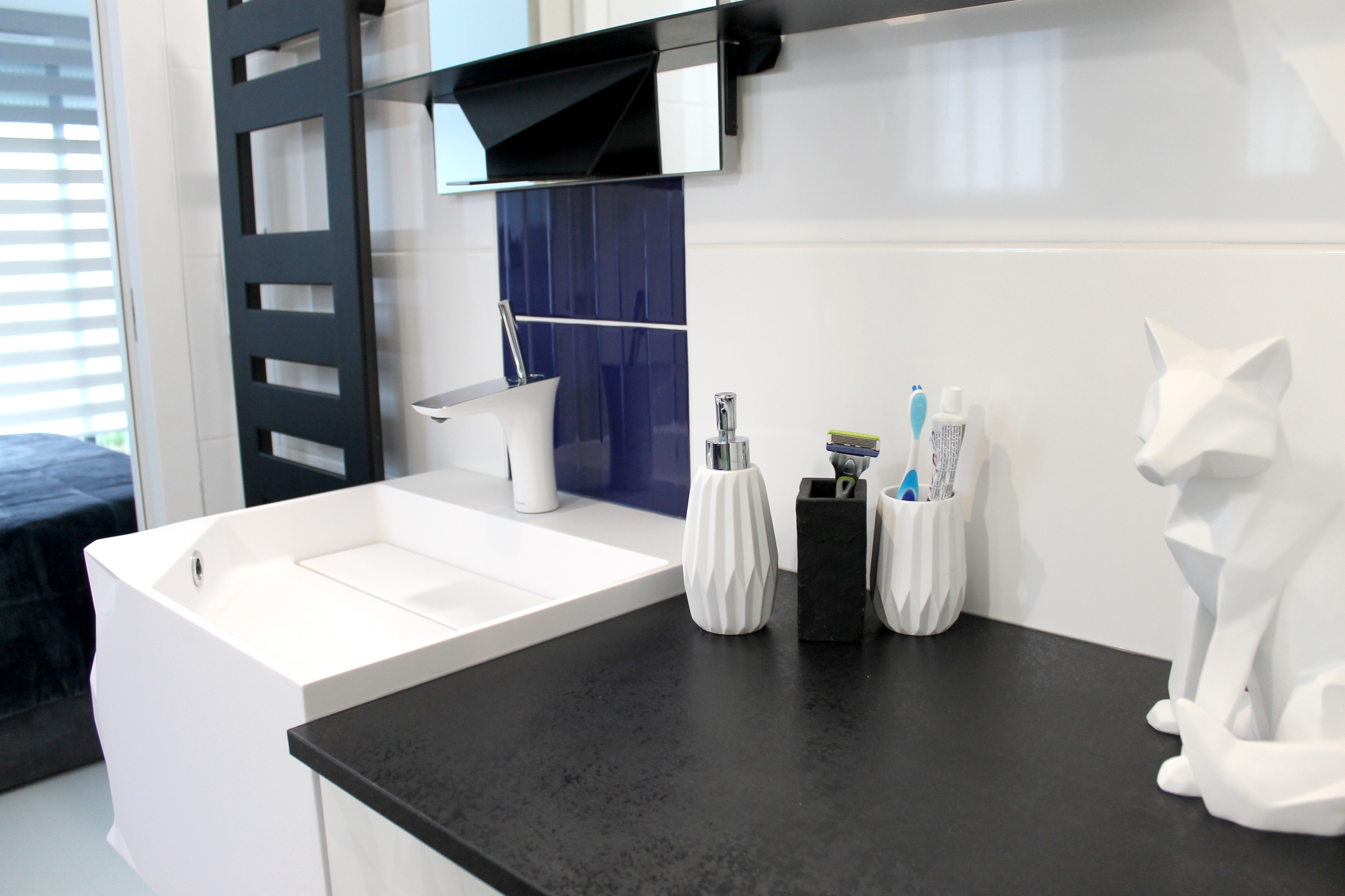 VUE%20RENARD%20ET%20VASQUE%20EMERGENCE%20IMG_2213