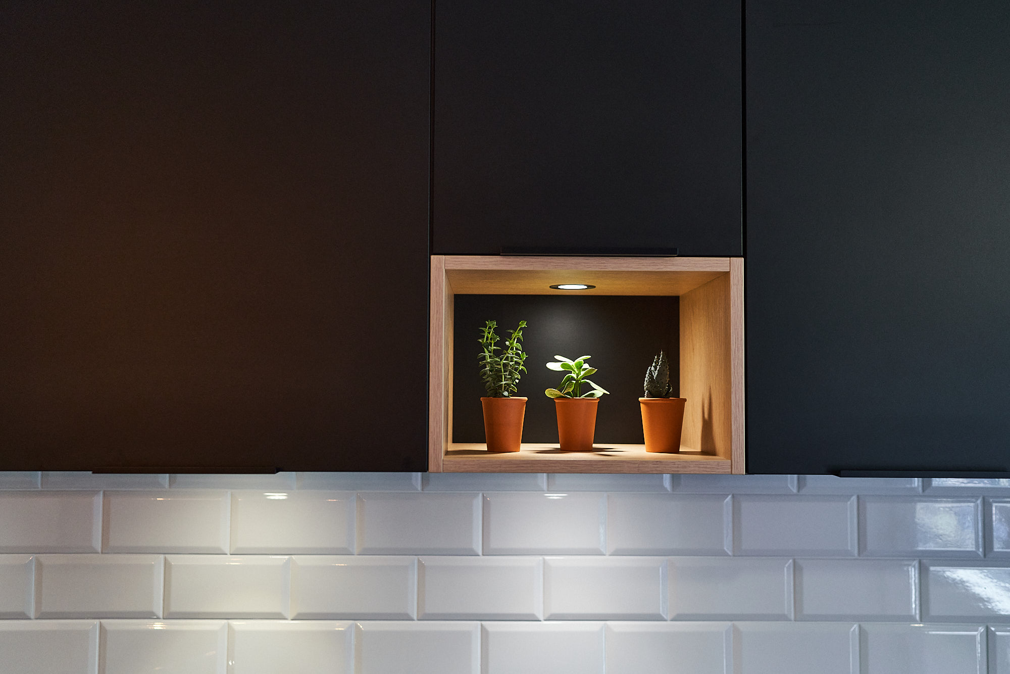 AEG_PERENE_XROUSSE_19_0