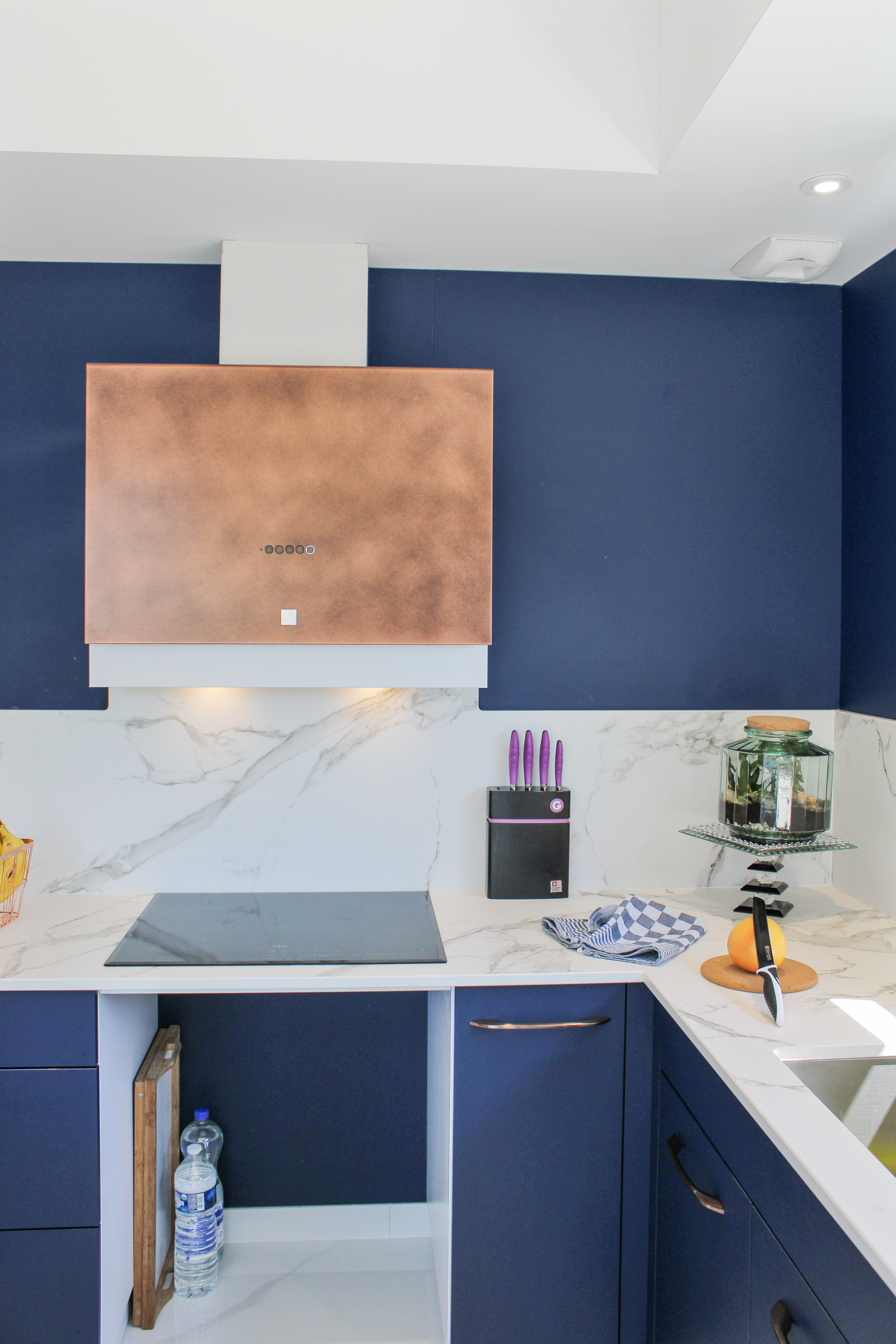 perene_perouse_djenidi_10