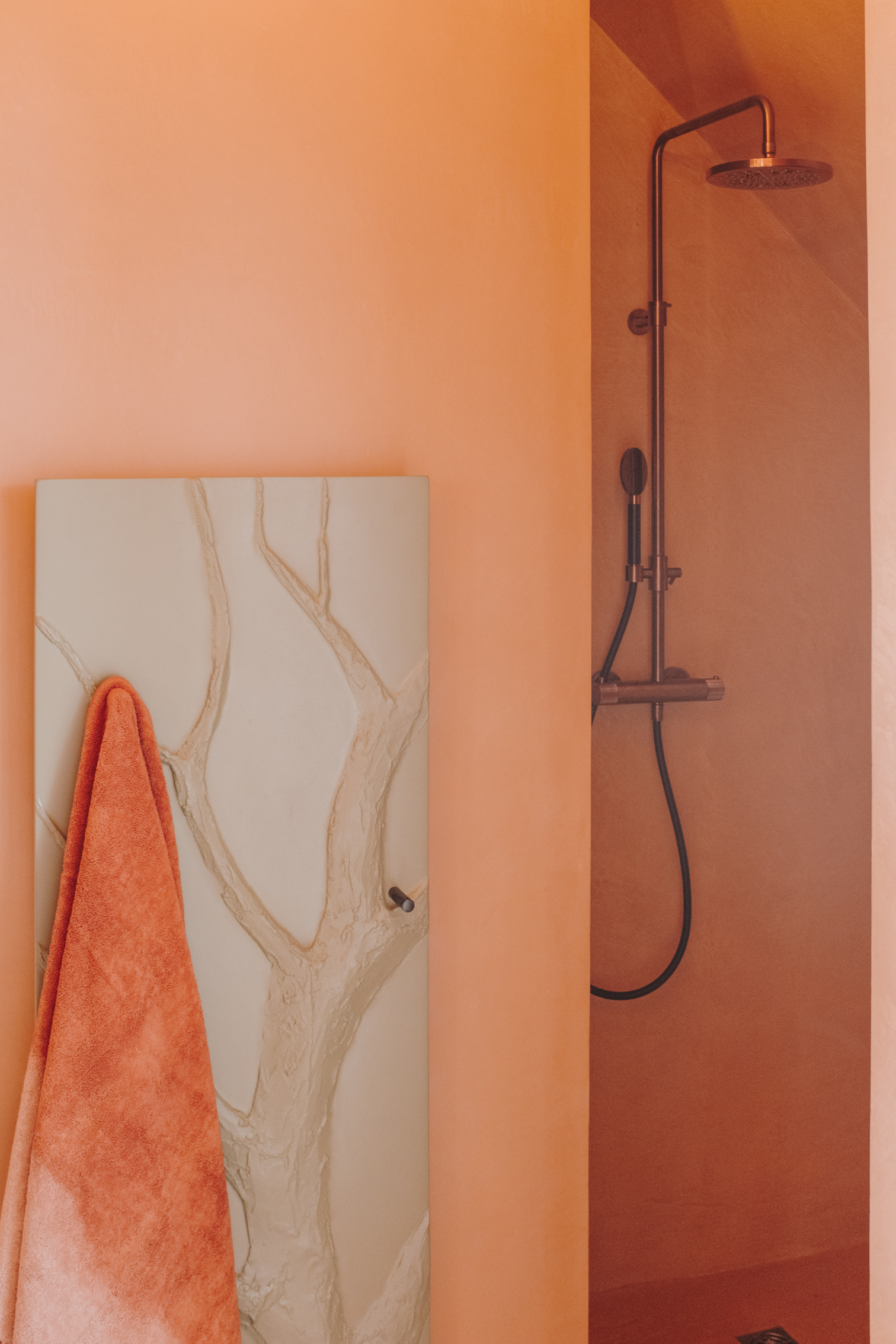 Douche-Perene-agencement-sur-mesure